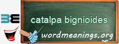 WordMeaning blackboard for catalpa bignioides